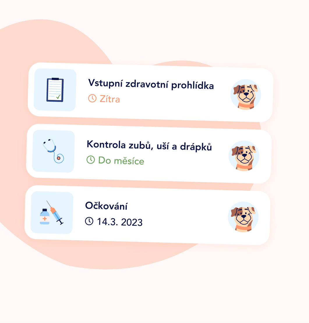 tlappka notifications