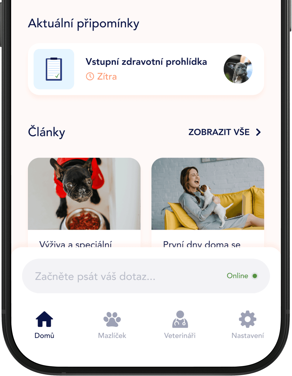 tlappka screen 1